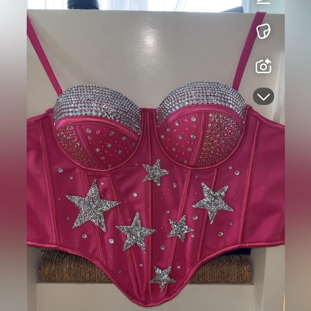Pink and Silver Embellished Bustier